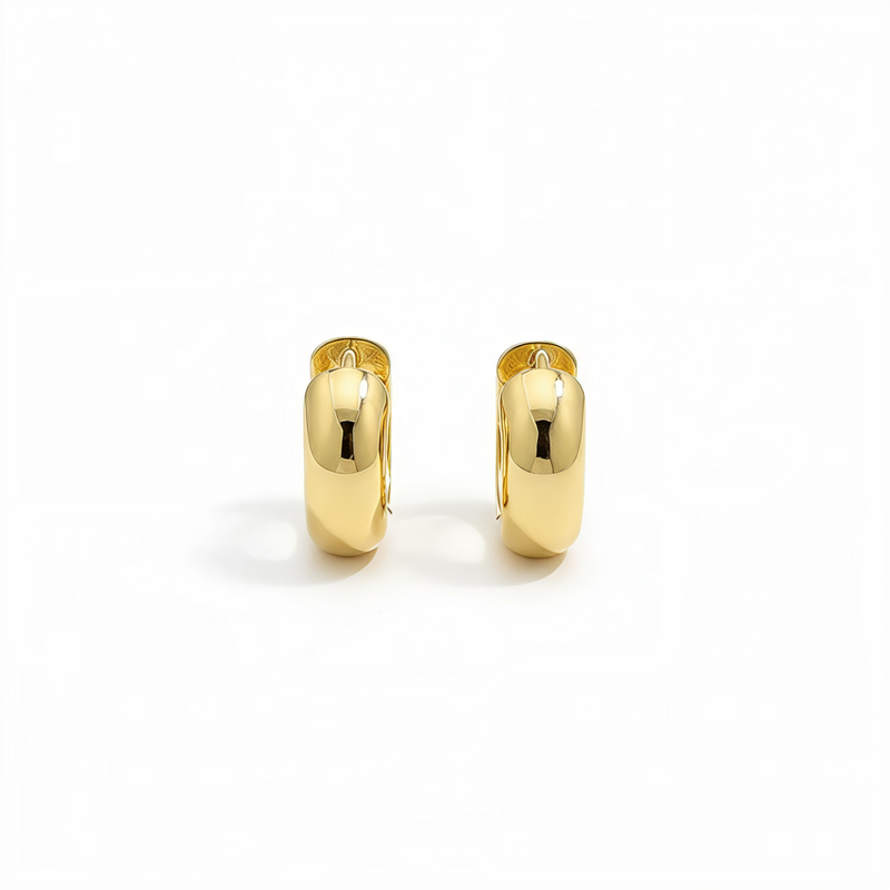 Aura Circle Earrings